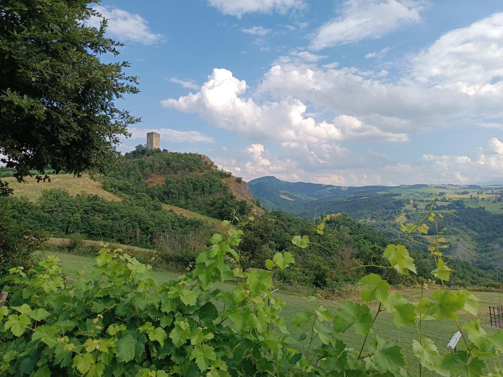 Appartamento Il Nido Di Matilde _Monolocale Design Sul Fiume_ Rossena Esterno foto