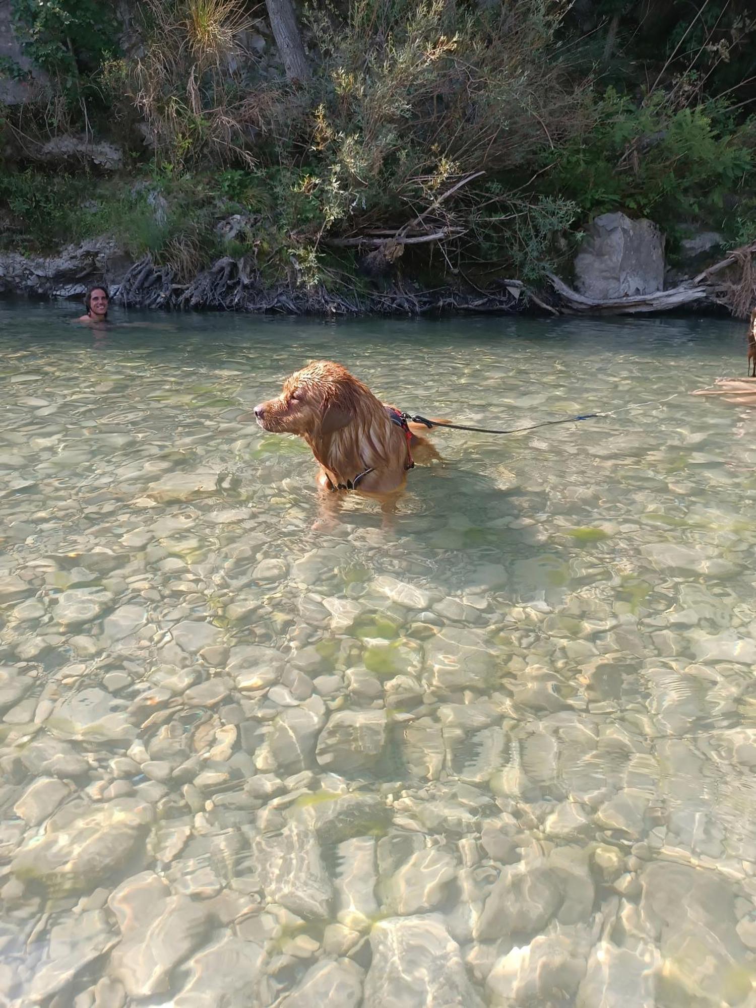 Appartamento Il Nido Di Matilde _Monolocale Design Sul Fiume_ Rossena Esterno foto